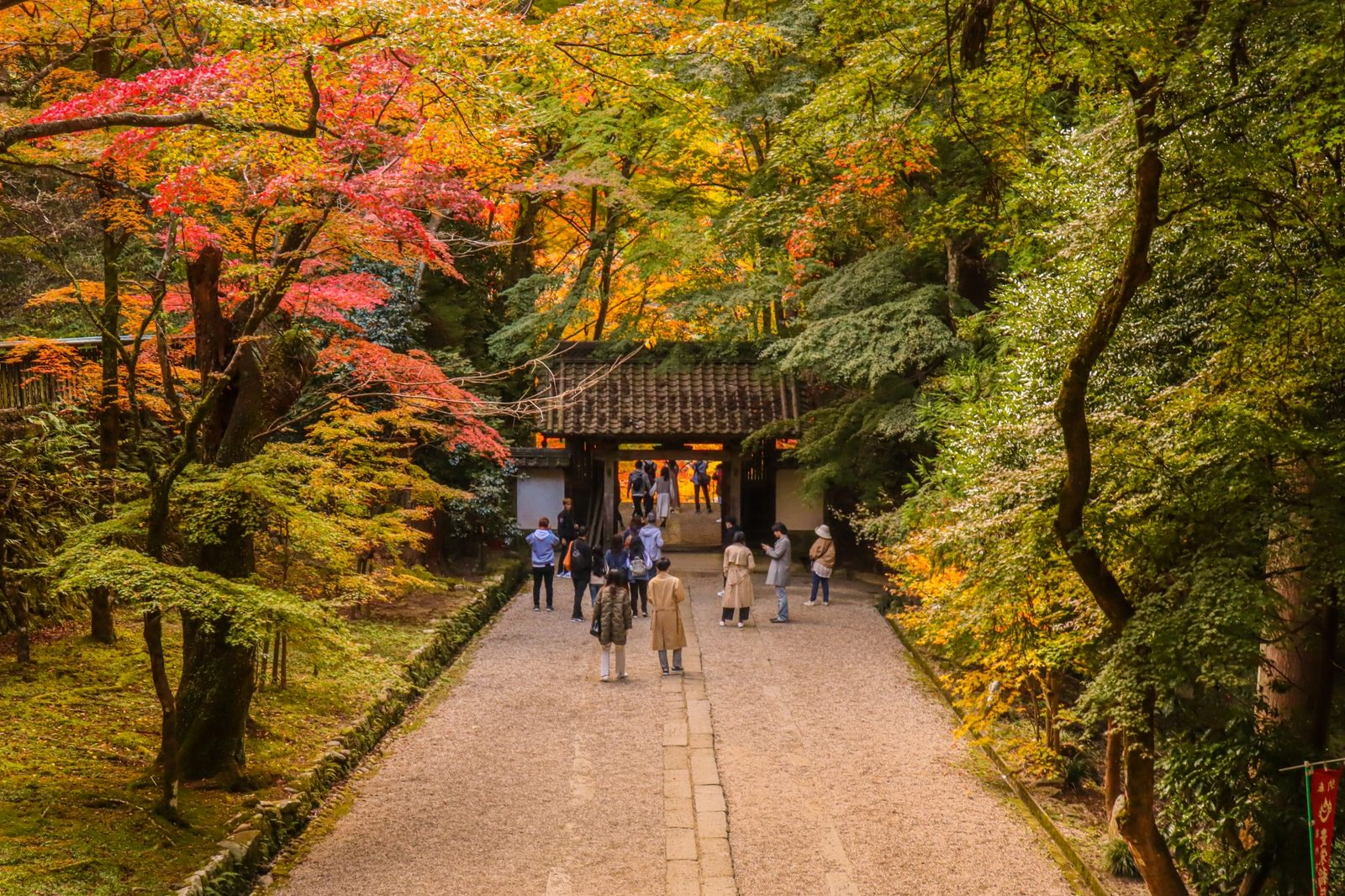 Coming to Japan in June? The rainy season is our little secret