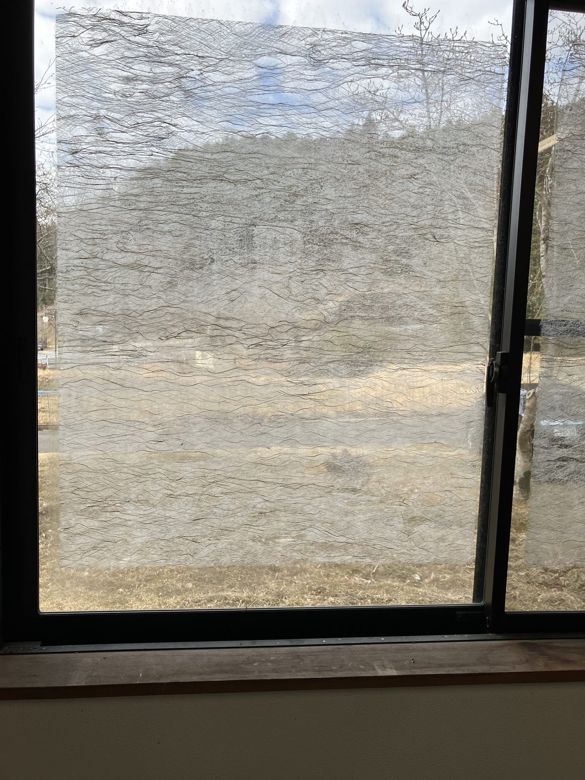Washi Papermaking Experience (Horaikan, Obara, Toyota)